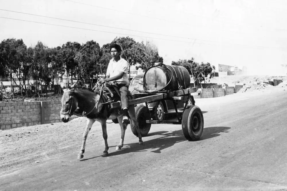 Galería